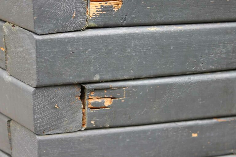 Rot-on-small-planter