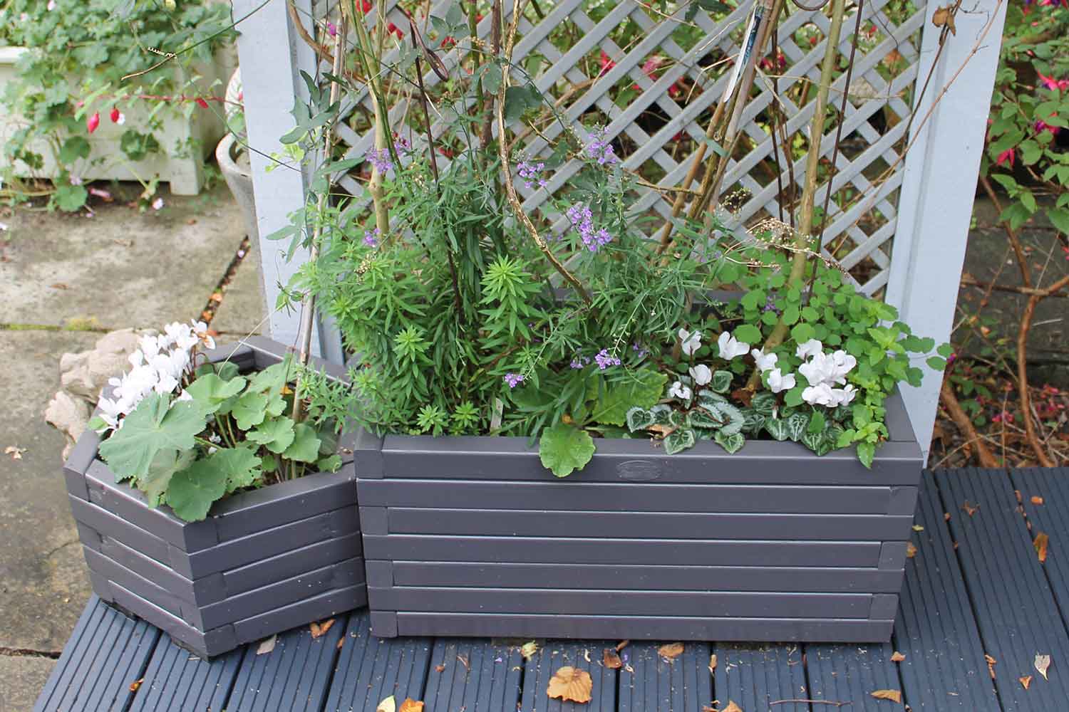 Thorndown-Bergamot-Grey-Wood-Paint-on-Hutton-planters