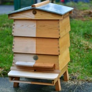 Comparison-after-winter-months