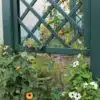 Thorndown-Field-Green-Wood-Paint-on-Forest-Large-Ultima-Pergola_4