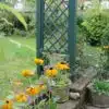 Thorndown-Field-Green-Wood-Paint-on-Forest-Large-Ultima-Pergola_5