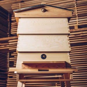 WBC-Hive-not-painted