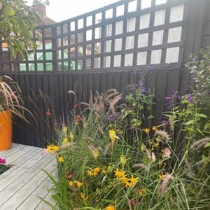 Love-Your-Garden-Leicester-Whortleberry-Wood-Paint-on-fence_2