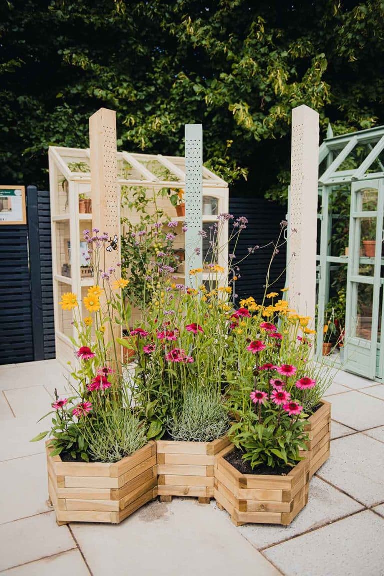 Forest-Greenhouses_Hampton-Court_Thorndown-Wood-Paint