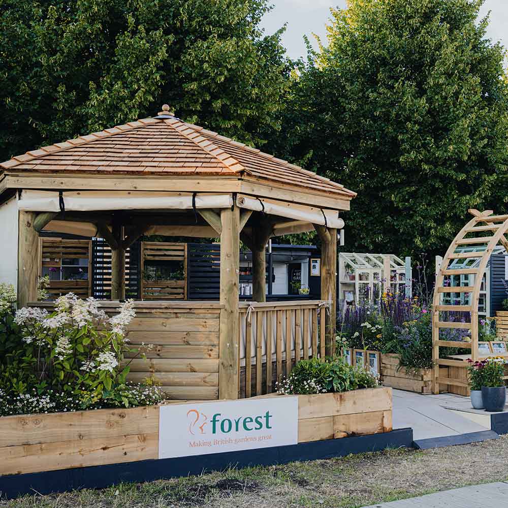 Hampton-Court_Forest-and-Thorndown