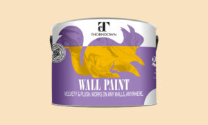 Thorndown Shop Wall paint