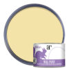 Thorndown-Wall-Paint-150-Paint-Colour-pack-shot-Bath_Cream