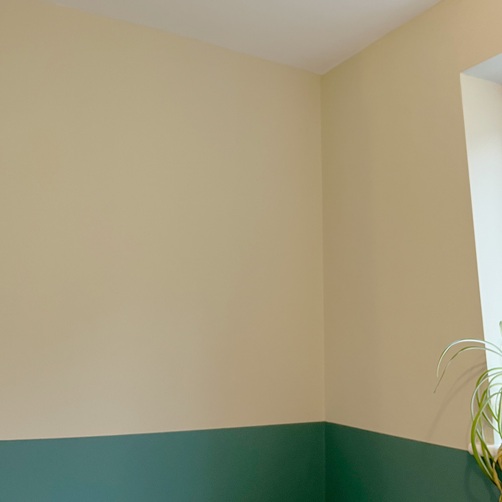 Cow Parsley White Wall Paint Thorndown Paints Wood Paints, Glass Paints