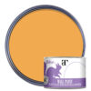 Thorndown-Wall-Paint-150-Paint-Colour-pack-shot-Ginger_Gold