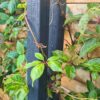 Thorndown-RAL-7021-Black-Grey-Wood-Paint-on-pergola_flood-Resilient-Garden