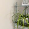 Thorndown-Whey-White-Wall-Paint-with-Old-Sage-Green-Wood-Paint_sq