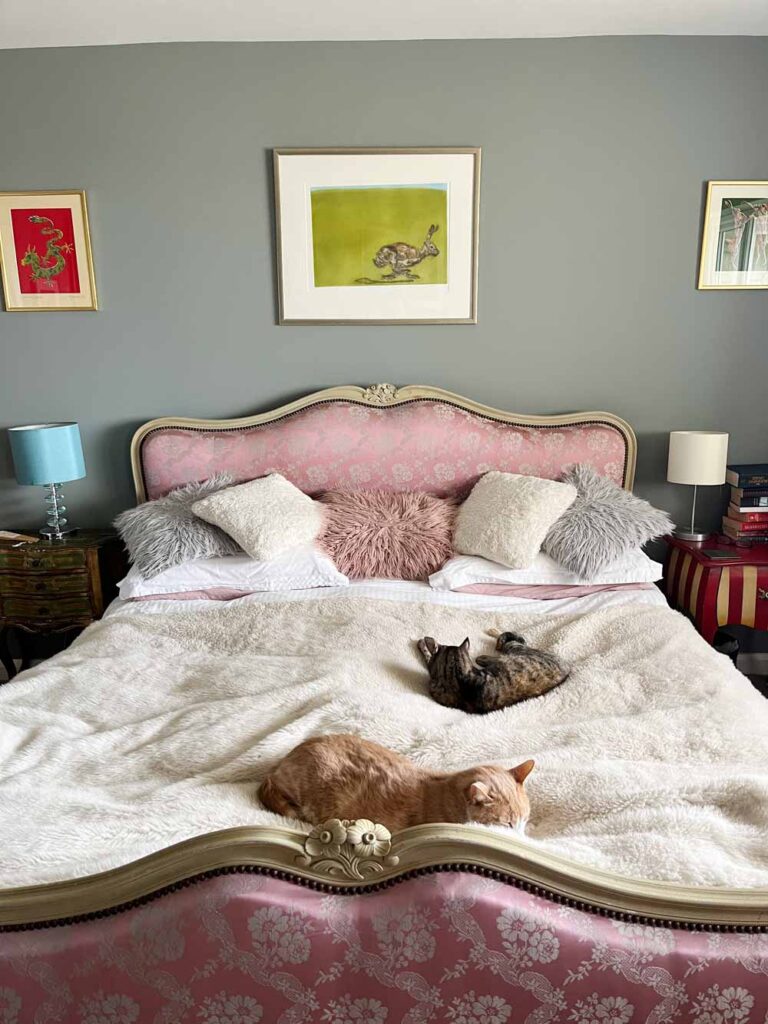 Thorndown-Tree-Lichen-Wall-Paint-with-Swan-White-on-ceiling_4