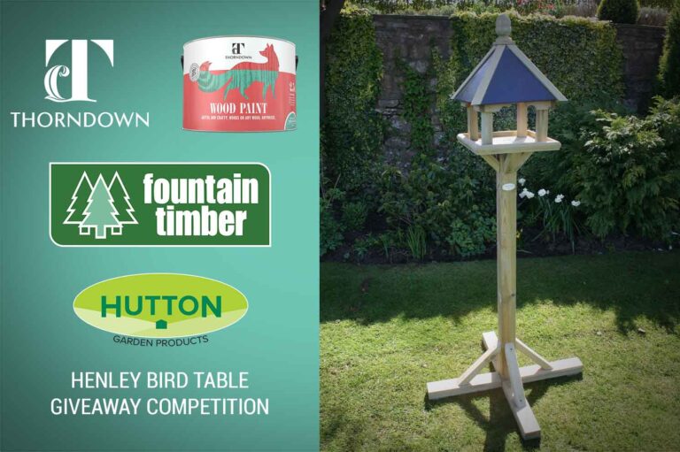 Henley Bird Table Giveaway Competition with Fountain Timber
