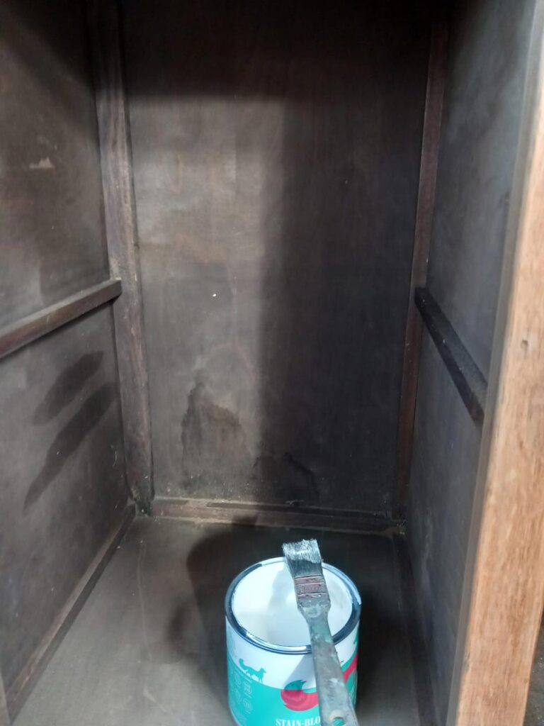 Stain-Blocking-Primer-interior